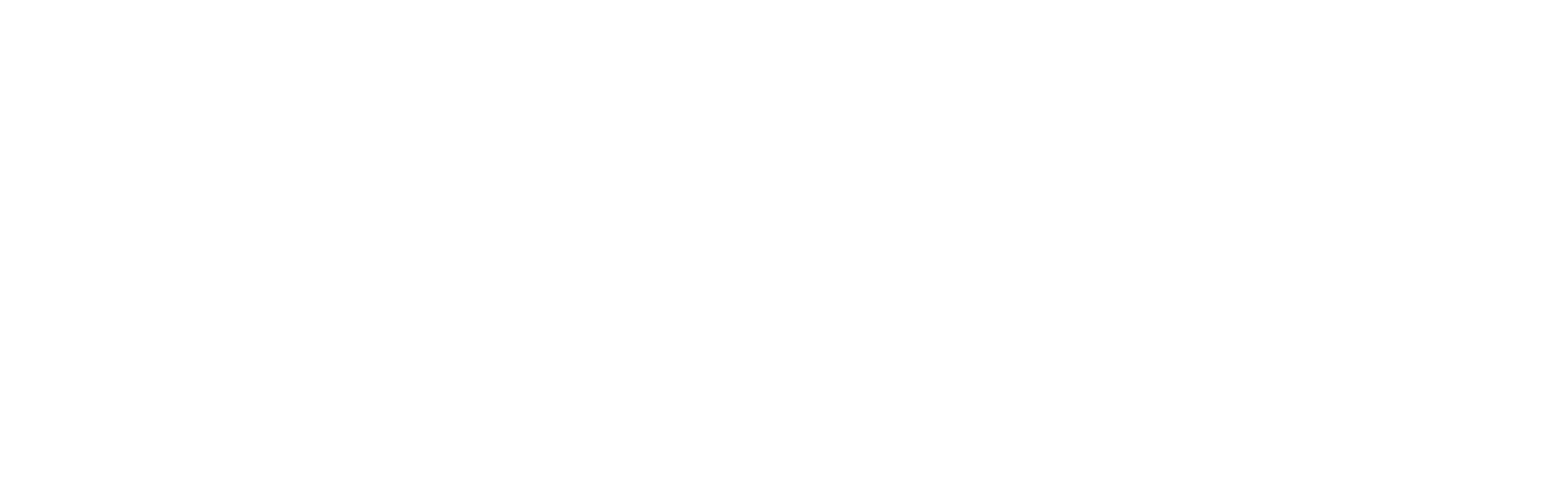 中國雙質(zhì)系列